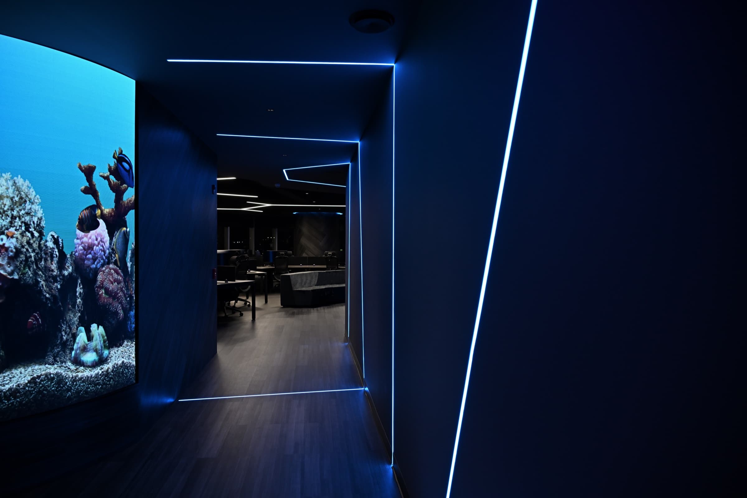 Acceso al acuario con iluminación azul